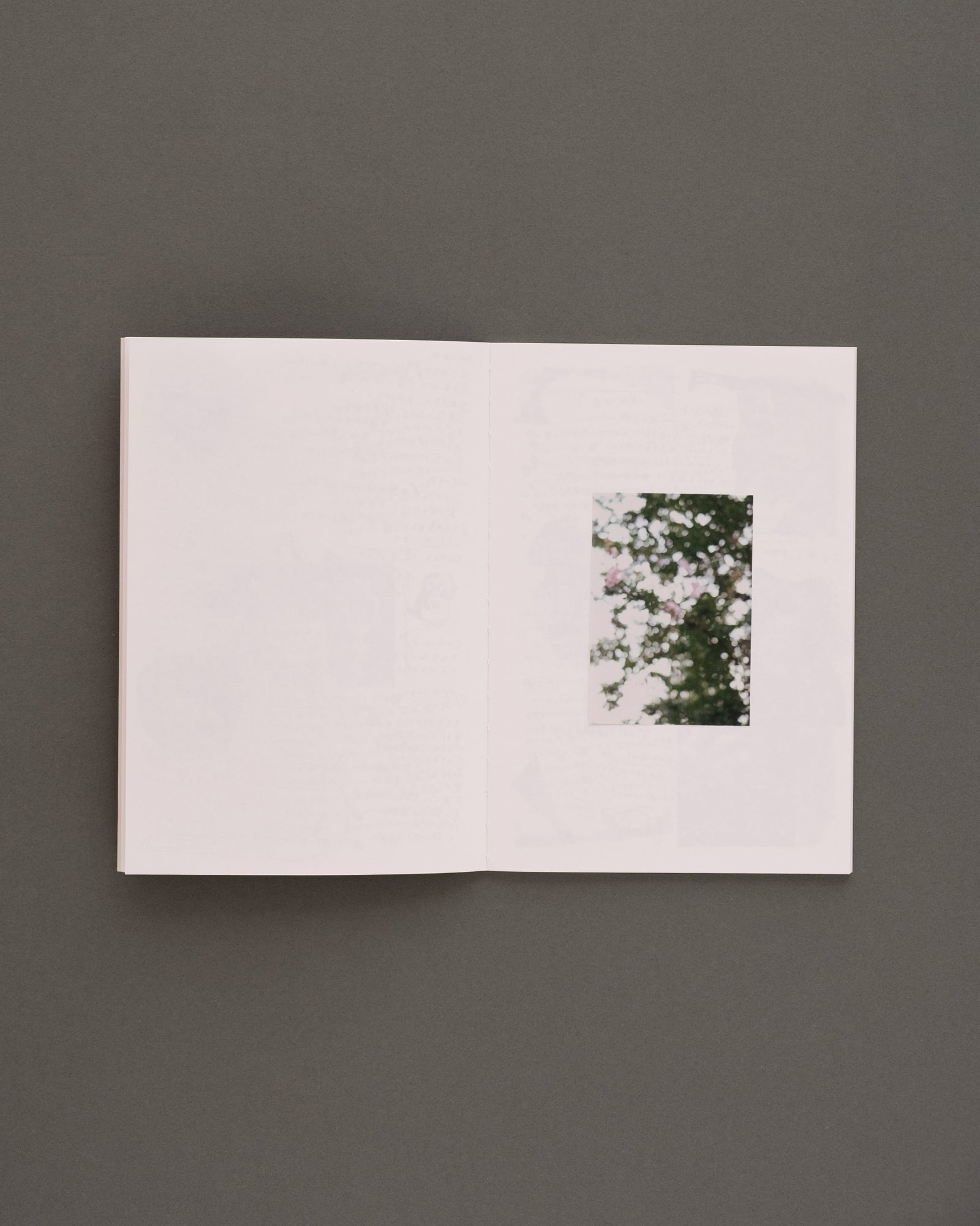 Our little diary vol.1