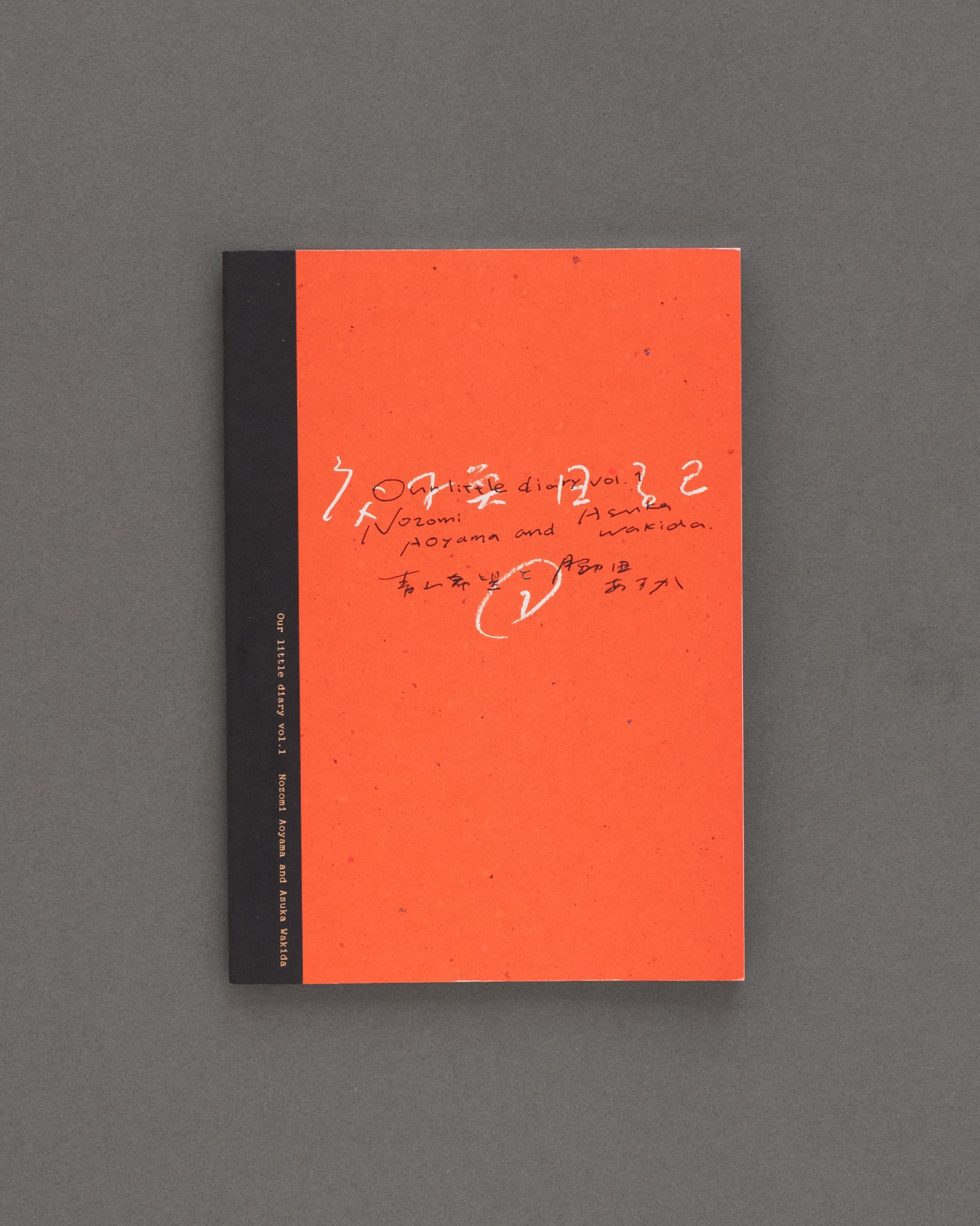 Our little diary vol.1