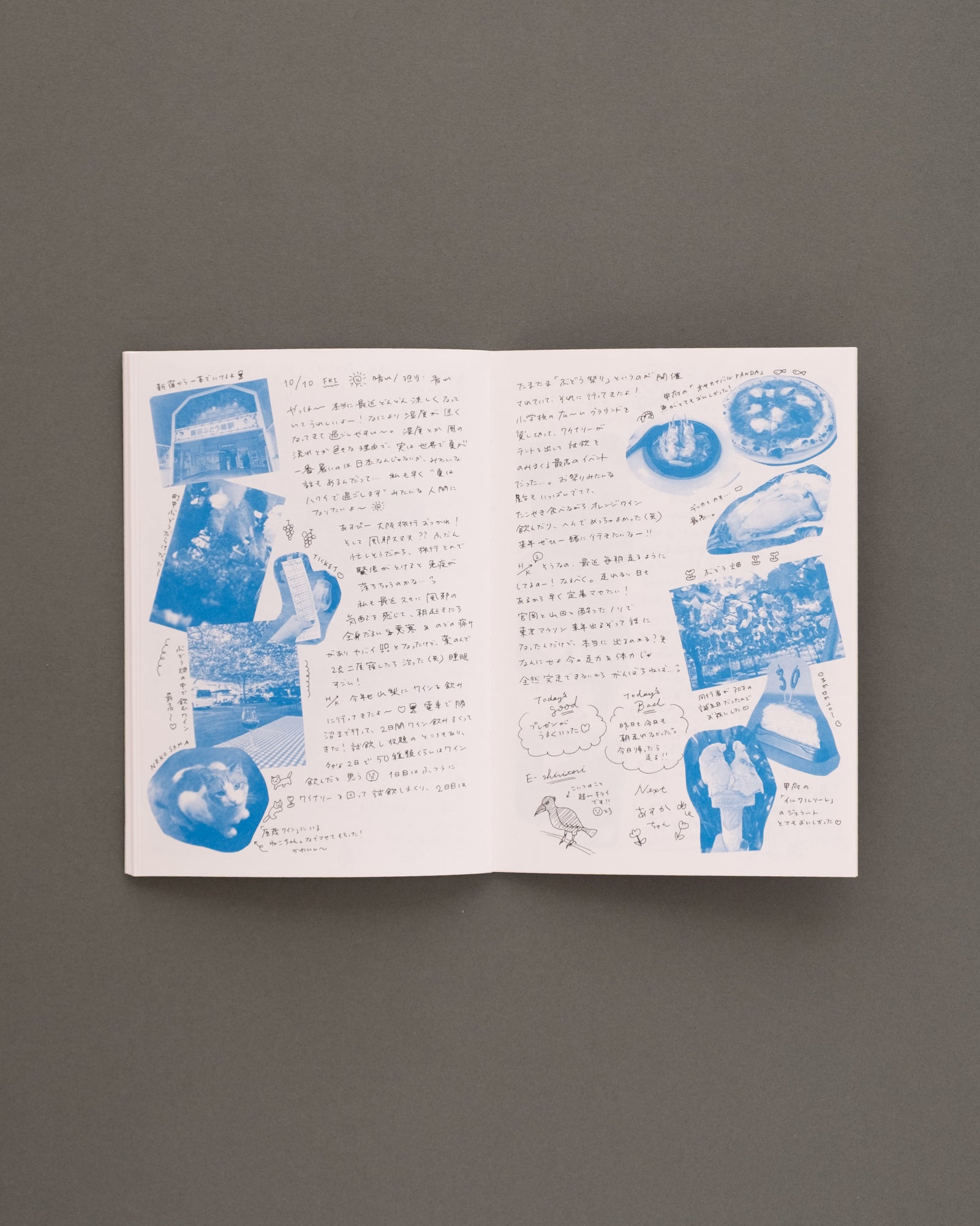 Our little diary vol.1