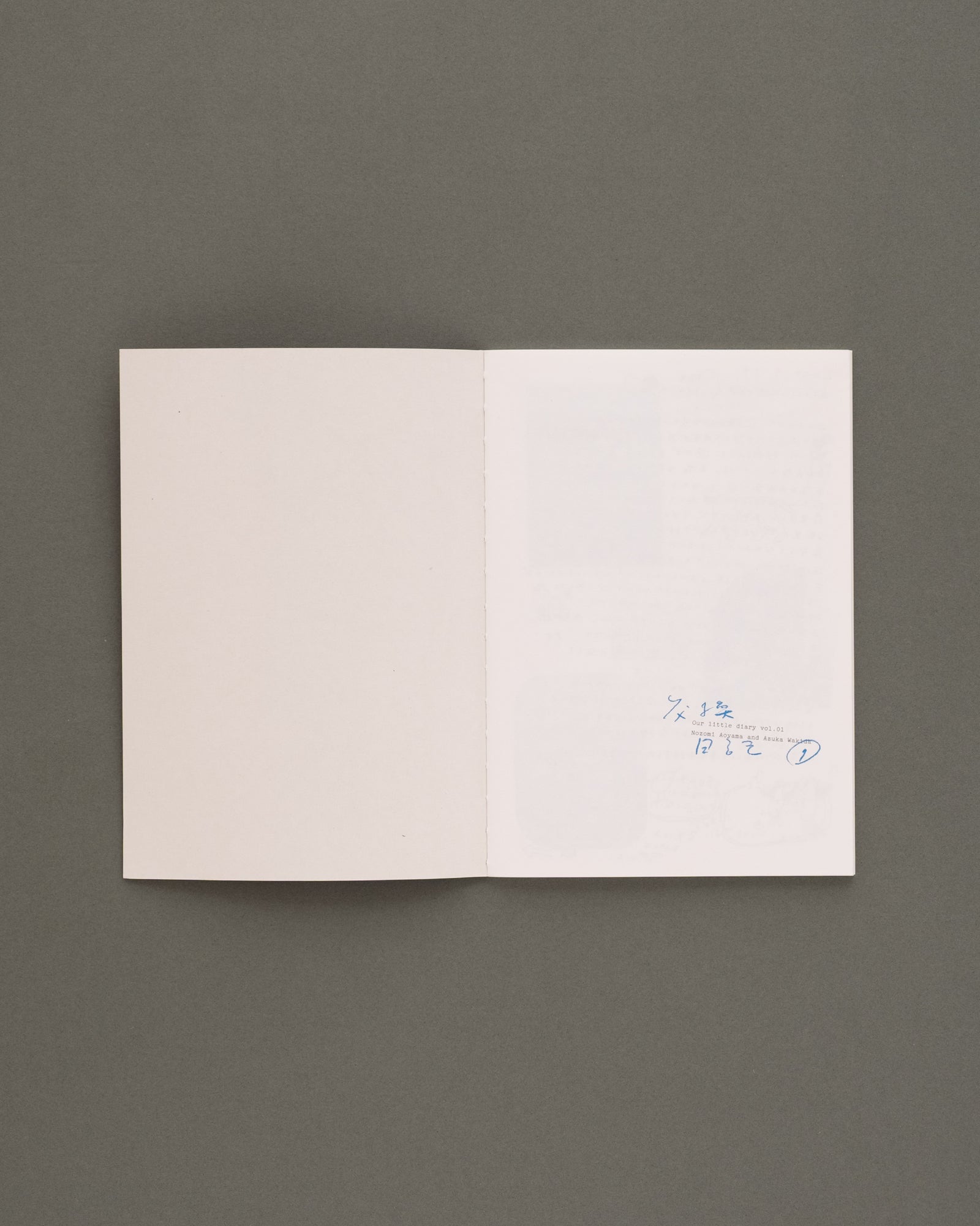 Our little diary vol.1